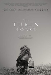 دانلود فیلم The Turin Horse 201110493-647486676