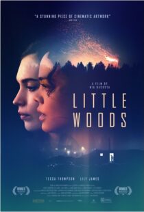 دانلود فیلم Little Woods 201822292-448446267