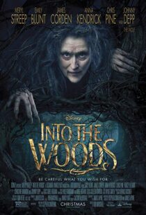 دانلود فیلم Into the Woods 20143675-1031310268