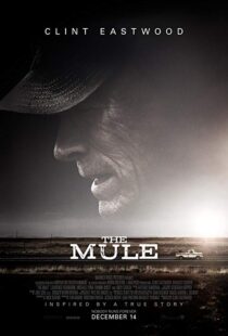 دانلود فیلم The Mule 201819828-1703040440