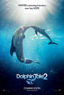 دانلود فیلم Dolphin Tale 2 201421312-1244073906