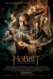 دانلود فیلم The Hobbit: The Desolation of Smaug 2013196262-1164520837