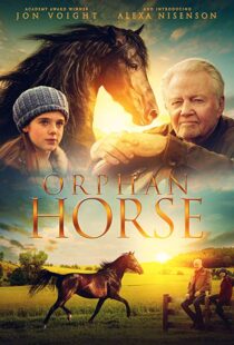 دانلود فیلم Orphan Horse 20188125-1882270256