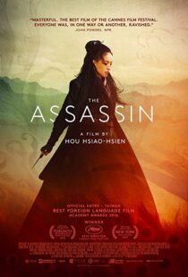 دانلود فیلم The Assassin 201513760-1414960454