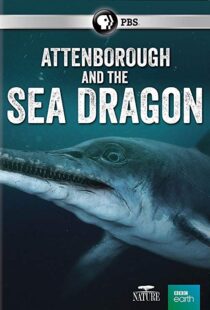 دانلود مستند Attenborough and the Sea Dragon 20188753-355821848