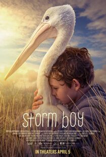 دانلود فیلم Storm Boy 20199003-1616954416