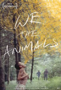 دانلود فیلم We the Animals 20184693-1930866714