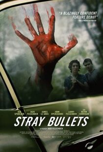 دانلود فیلم Stray Bullets 20169530-1799393442