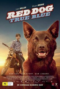 دانلود فیلم Red Dog: True Blue 20168899-923197951