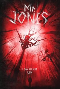 دانلود فیلم Mr. Jones 201337611-1428179733