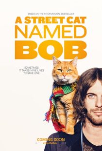 دانلود فیلم A Street Cat Named Bob 201641621-1048528542