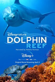 دانلود مستند Dolphin Reef 201838724-272509245