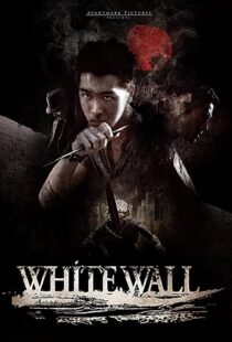 دانلود فیلم White Wall 201043853-375667992