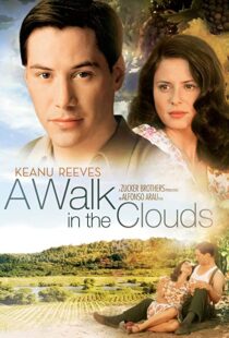 دانلود فیلم A Walk in the Clouds 199553815-841231424