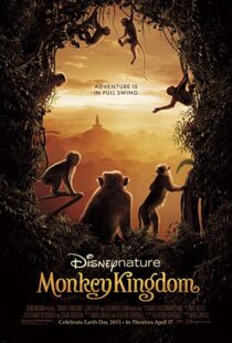 دانلود مستند Monkey Kingdom 201554583-1772991543