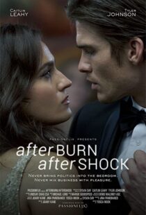 دانلود فیلم Afterburn/Aftershock 201777302-1462243395