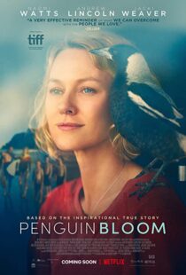 دانلود فیلم Penguin Bloom 202073302-1989079311