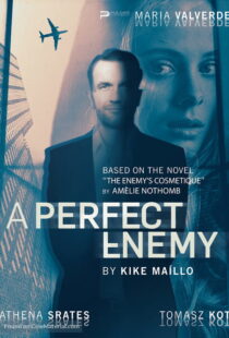 دانلود فیلم A Perfect Enemy 202082295-360374942