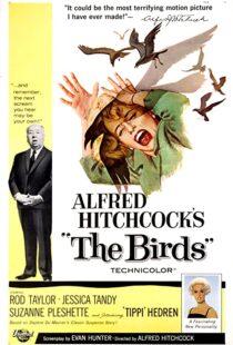 دانلود فیلم The Birds 196382372-733944626