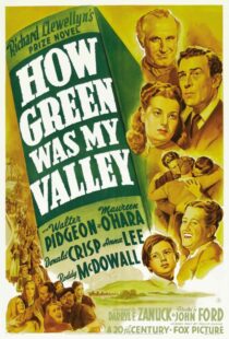 دانلود فیلم How Green Was My Valley 194181855-2008431949