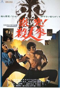 دانلود فیلم The Street Fighter 197483791-73508958