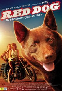 دانلود فیلم Red Dog 201187414-6962942