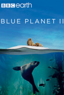 دانلود مستند Blue Planet II100194-1390700778