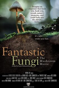 دانلود مستند Fantastic Fungi 2019100518-766463899