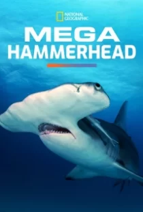 دانلود مستند Mega Hammerhead 2016103122-1866872501