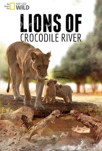 دانلود مستند Lions of Crocodile River 2007103328-475894342