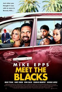 دانلود فیلم Meet the Blacks 2016109548-993766666