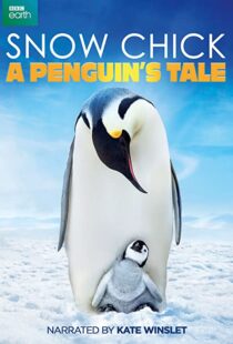 دانلود مستند Snow Chick: A Penguin’s Tale 2015109604-43049574