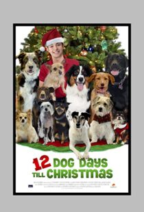 دانلود فیلم 12 Dog Days Till Christmas 2014100712-1480600985