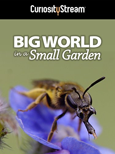 دانلود مستند Big World in a Small Garden 2016