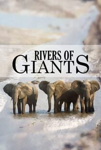 دانلود مستند Rivers of Giants 2005102245-1952428355