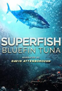 دانلود مستند Superfish Bluefin Tuna 2012101607-454369887