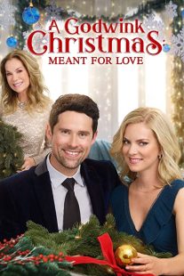 دانلود فیلم A Godwink Christmas: Meant for Love 201931842-1740382565