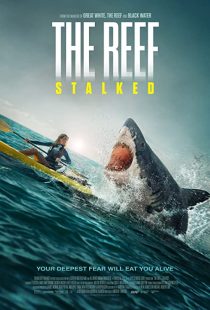 دانلود فیلم The Reef: Stalked 2022234702-1542370882