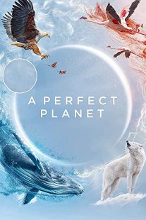 دانلود مستند A Perfect Planet231098-1402218287