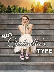 دانلود فیلم Not Cinderella’s Type 2018254350-1384693020