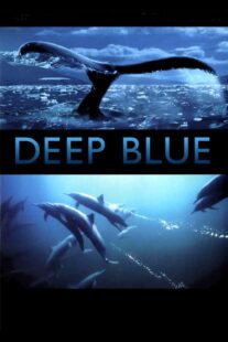 دانلود فیلم Deep Blue 2003333037-1010809233