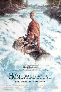 دانلود فیلم Homeward Bound: The Incredible Journey 1993371118-491690356