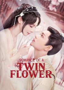 دانلود سریال Romance of a Twin Flower379211-2039626224