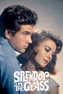 دانلود فیلم Splendor in the Grass 1961382554-1759924558