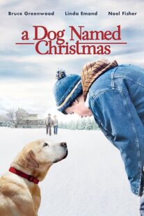 دانلود فیلم A Dog Named Christmas 2009389298-1664042075