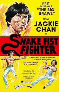 دانلود فیلم Snake Fist Fighter 1973388650-336707400