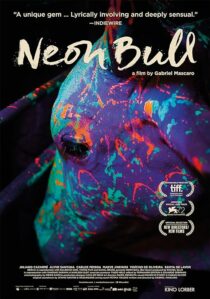 دانلود فیلم Neon Bull 2015396774-975705025