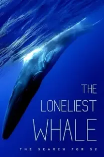 دانلود فیلم The Loneliest Whale: The Search for 52 2021403098-951018803