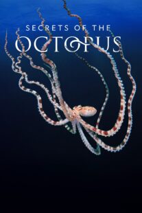 دانلود سریال Secrets of the Octopus401286-1191250162