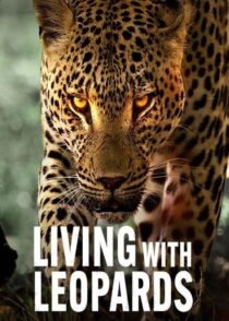 دانلود مستند Living with Leopards 2024400477-974831606